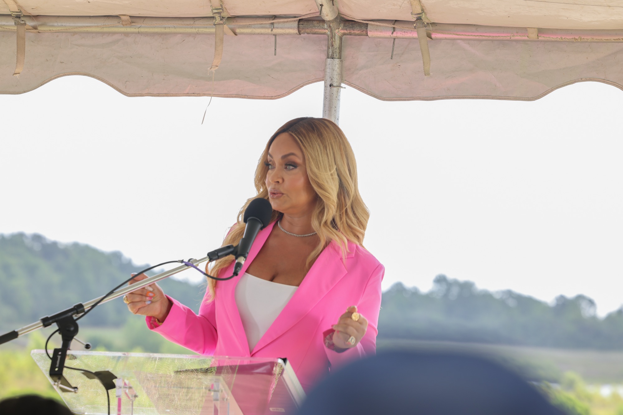 Photo from the Curtis Graves Park ribbon cutting and reception